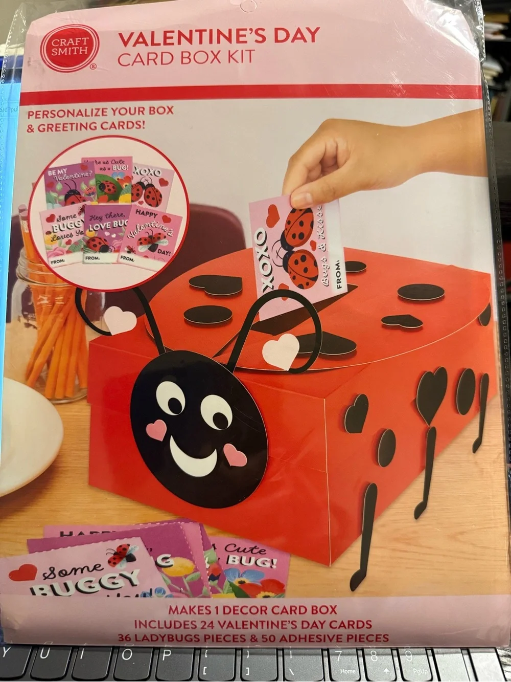 Craft Smith Valentine’s Day Ladybug Card Box Kit - Red & Black